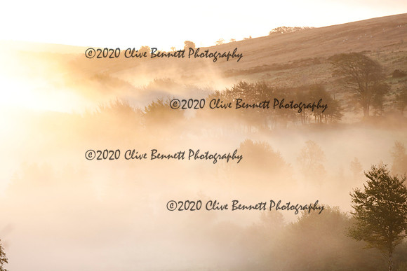 _CB_9105