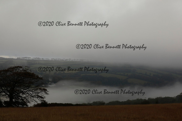 _CB_9153