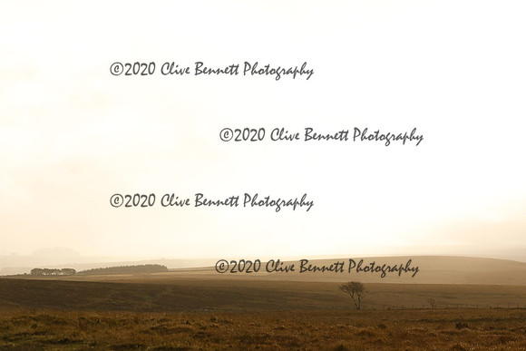 _CB_9019