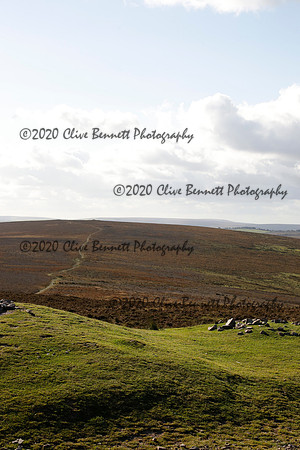 _CB_8555