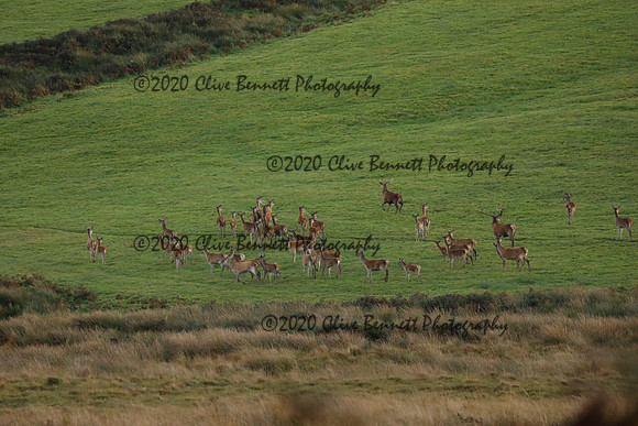 _CB_9063