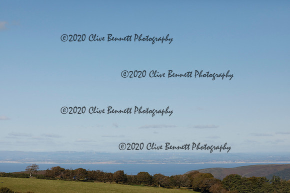 _CB_8733