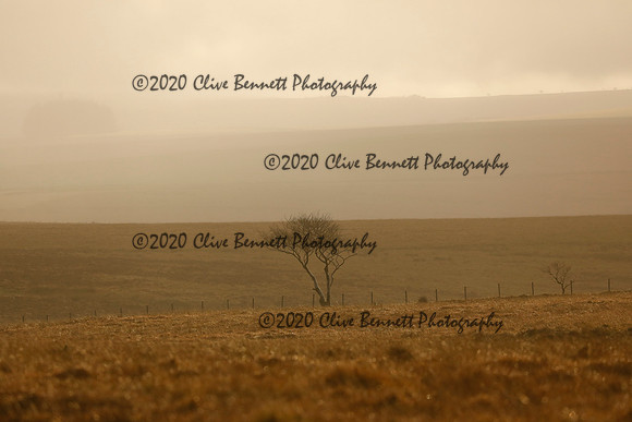 _CB_9023