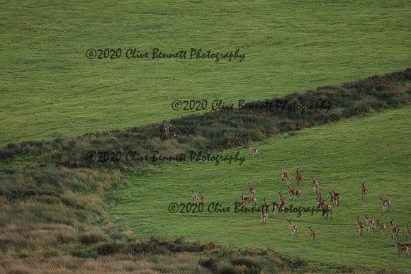 _CB_9070