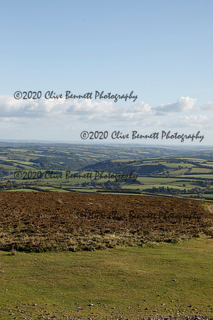 _CB_8537