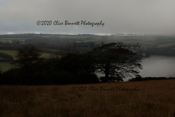 _CB_9159