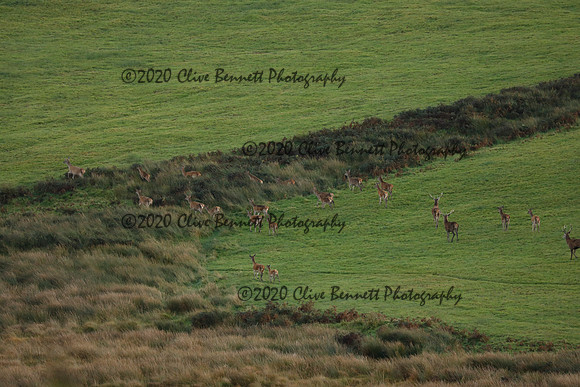 _CB_9088