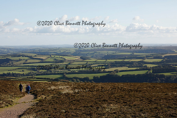 _CB_8596
