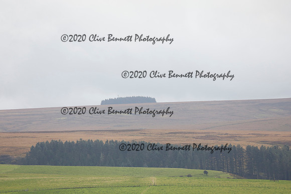 _CB_8954