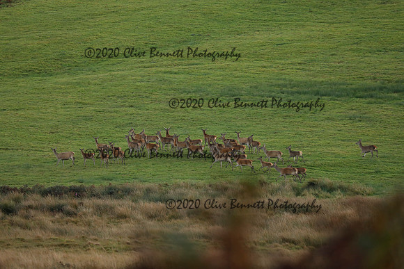 _CB_9056