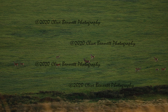 _CB_9032