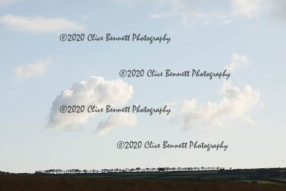 _CB_8651