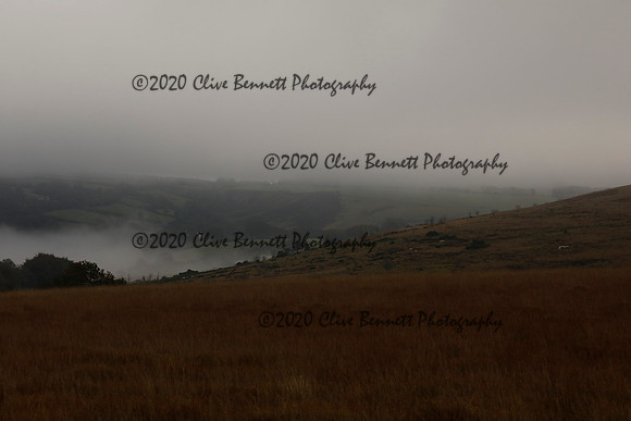 _CB_9157