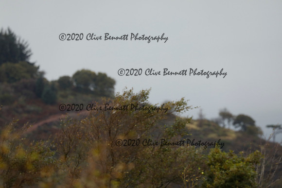_CB_8970