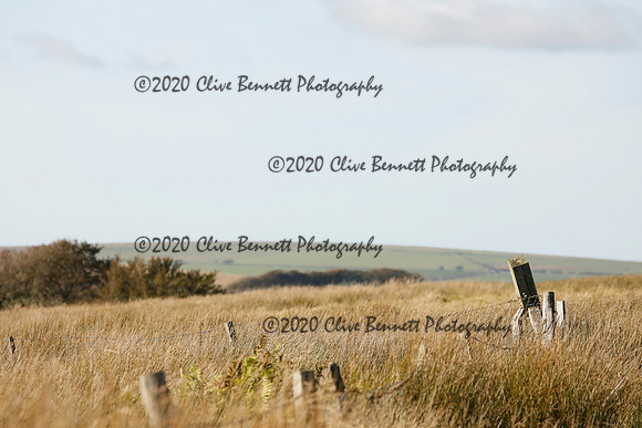 _CB_8762