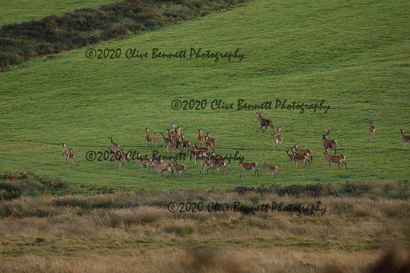 _CB_9062