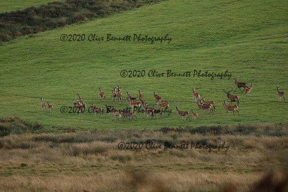_CB_9060
