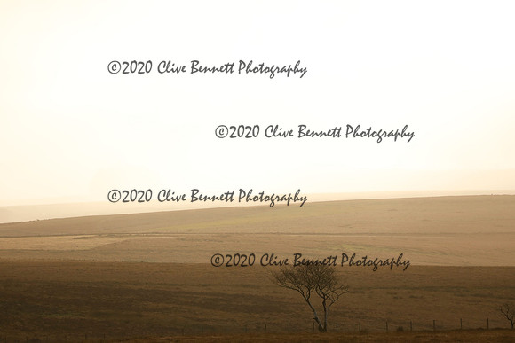 _CB_9018