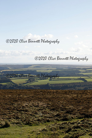 _CB_8544