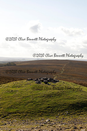 _CB_8554