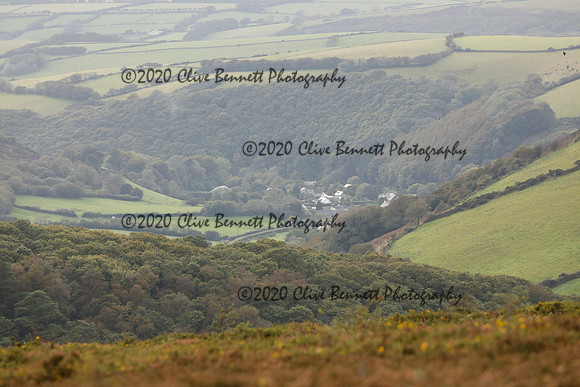 _CB_8960