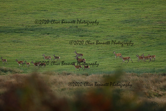 _CB_9054