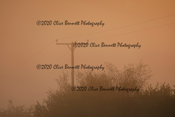 _CB_8814