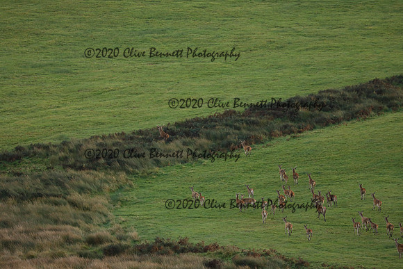 _CB_9072