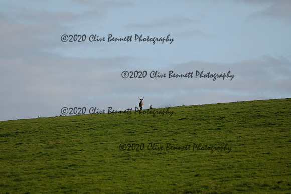 _CB_8932