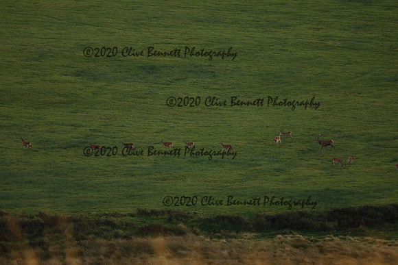 _CB_9030