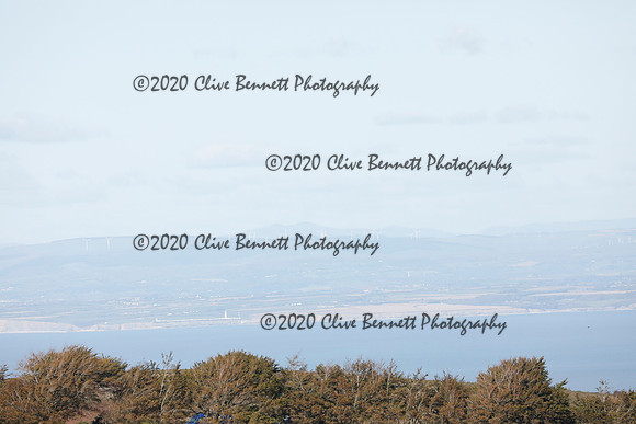 _CB_8729