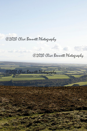 _CB_8545