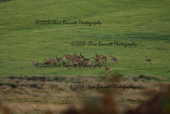 _CB_9058