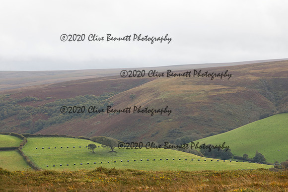 _CB_8958