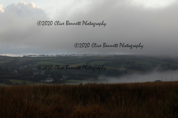 _CB_9147