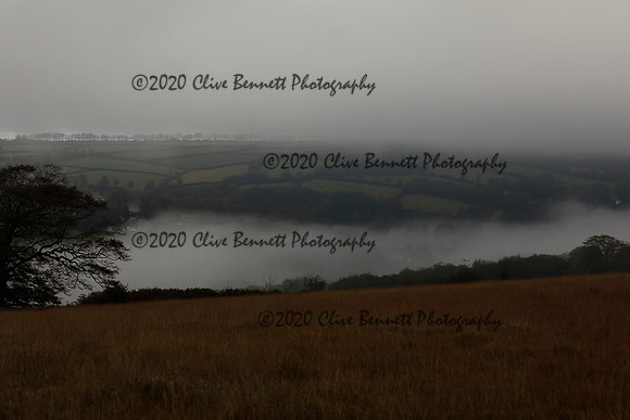 _CB_9158