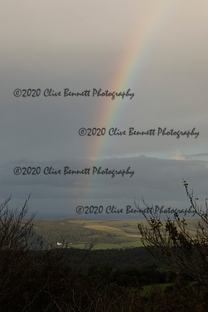 _CB_8174