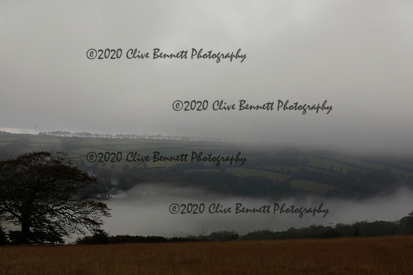 _CB_9152