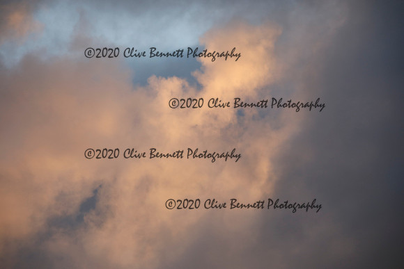 _CB_8201