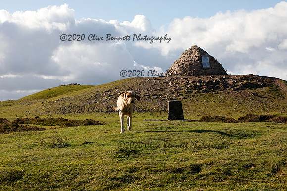 _CB_8630