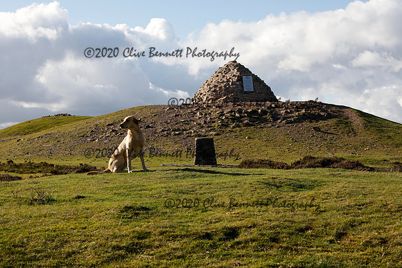 _CB_8619