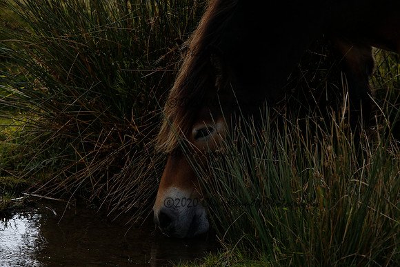 _CB_8468