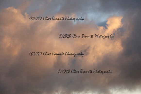 _CB_8203