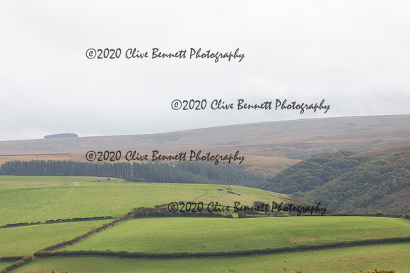 _CB_8956