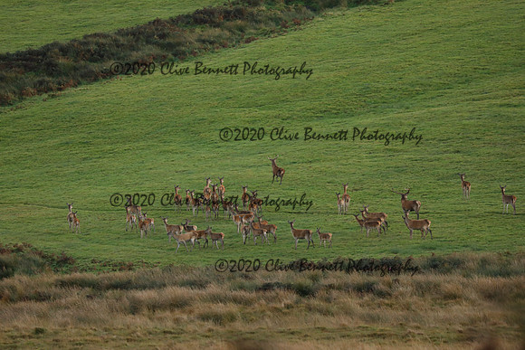_CB_9064