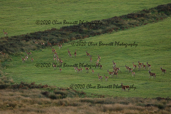 _CB_9076