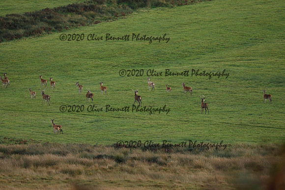 _CB_9087