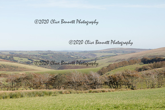 _CB_8743