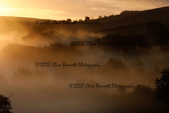 _CB_9106