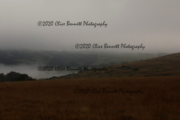 _CB_9156